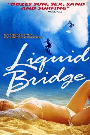 Liquid Bridge Poster