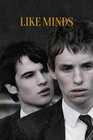 Like Minds Poster