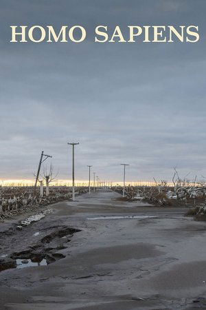 Homo Sapiens Poster