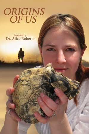 Origins of Us Poster