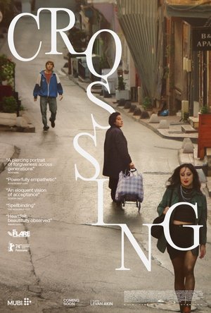 Crossing Poster