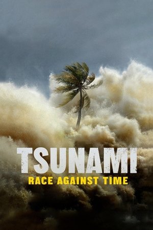 Tsunami: Race Against Time Poster