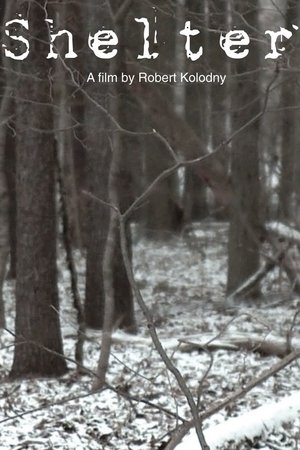 Shelter Poster