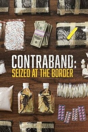 Contraband: Seized at the Border Poster