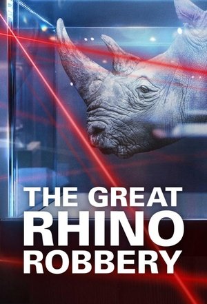 The Great Rhino Robbery Poster