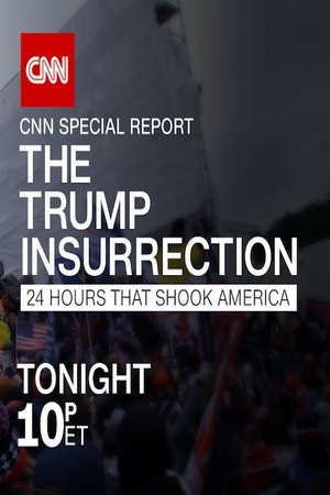 The Trump Insurrection: 24 Hours That Shook America Poster