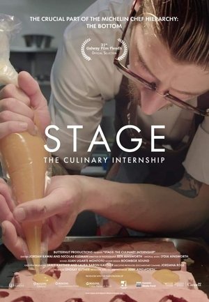 Stage: The Culinary Internship Poster