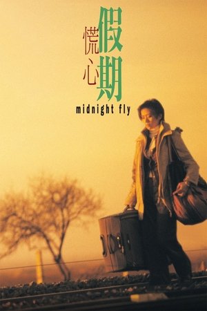 Midnight Fly Poster