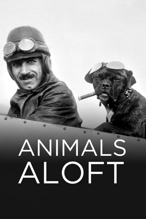 Animals Aloft Poster