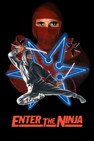 Enter the Ninja Poster