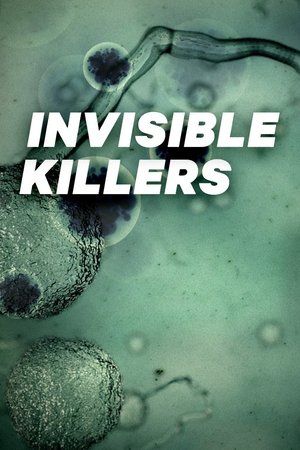 Invisible Killers Poster