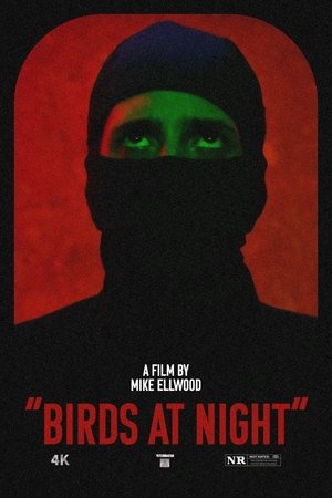 Birds at Night Poster