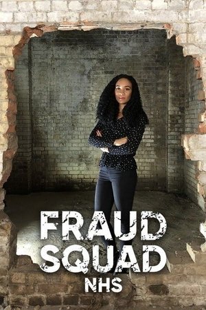 Fraud Squad Poster