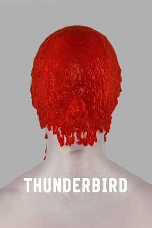 Thunderbird Poster