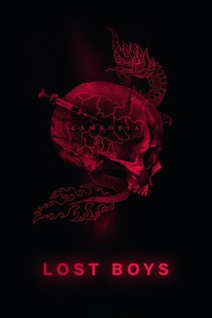 Lost Boys Poster