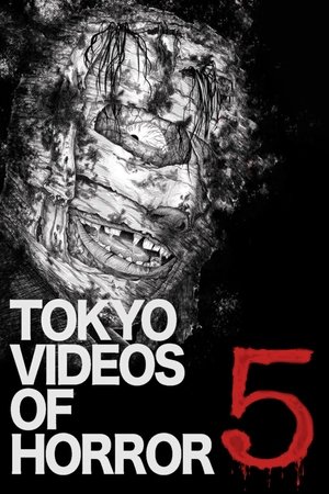 Tokyo Videos of Horror 5 Poster