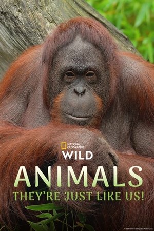 Animals, They're Just Like Us! Poster