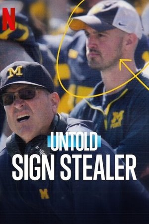Untold: Sign Stealer Poster