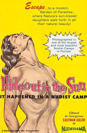 Hideout in the Sun Poster