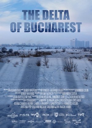 The Delta of Bucharest Poster