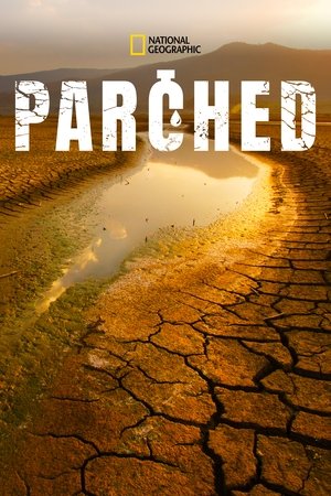 Parched Poster