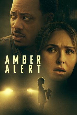 Amber Alert Poster
