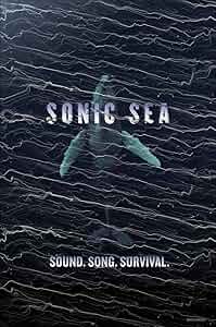 Sonic Sea Poster